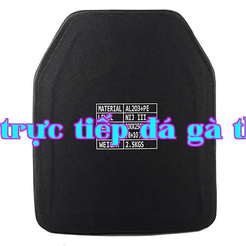 Bảng ngực chống đạn hợp thành - gốm nhôm oxit