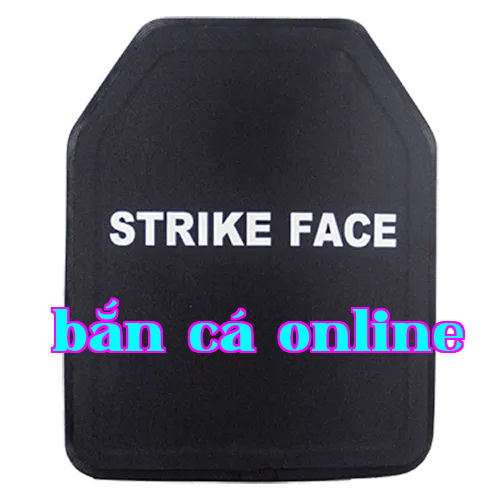 Bảng ngực chống đạn bằng PE