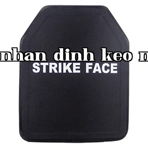 Bảng ngực chống đạn hợp thành - gốm nhôm oxit